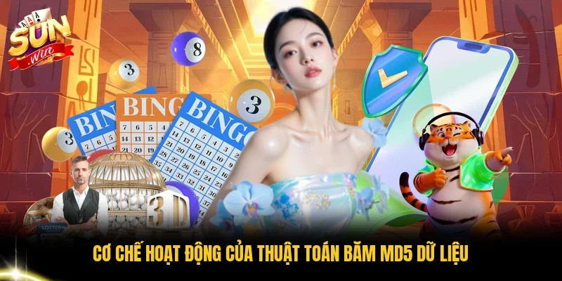 Cơ chế hoạt động của thuật toán băm Md5 dữ liệu