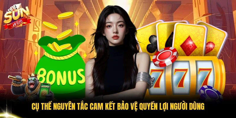 Cụ thể nguyên tắc cam kết bảo vệ quyền lợi người dùng
