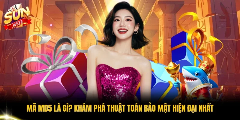 Mã Md5 Là Gì? Khám Phá Thuật Toán Bảo Mật Hiện Đại Nhất