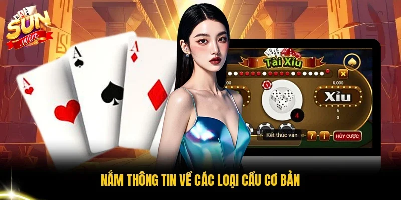 Nắm thông tin về các loại cầu cơ bản